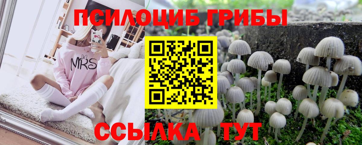 Галлюциногенные грибы MAGIC MUSHROOMS Карачаевск