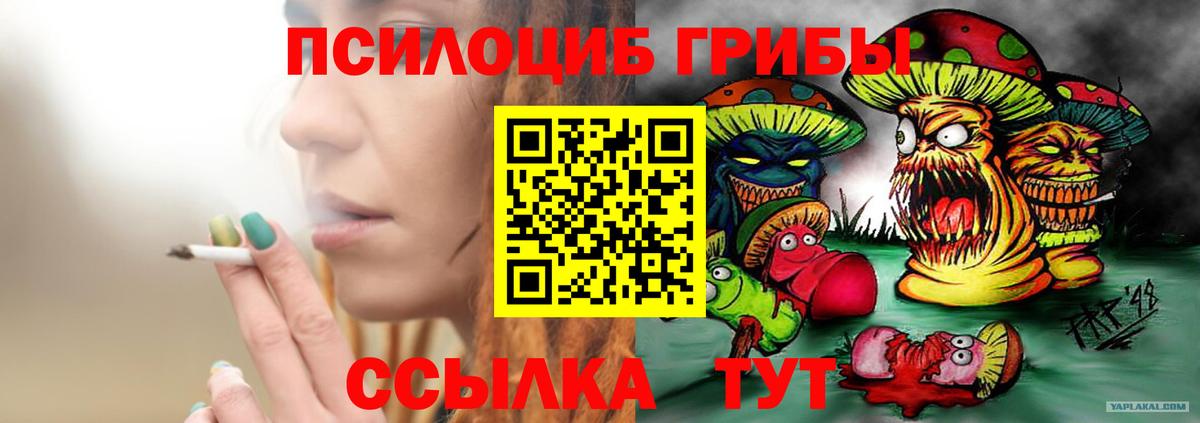 Галлюциногенные грибы MAGIC MUSHROOMS  Вход с VPN  Карачаевск 
